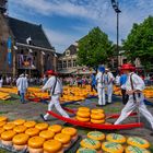 Käsemarkt in Alkmaar