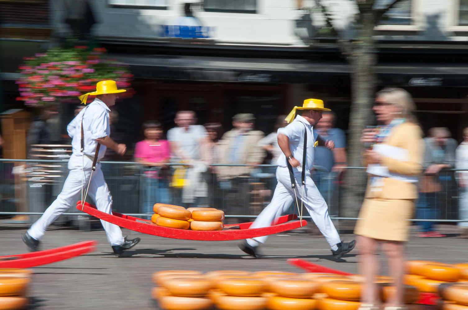 Käsemarkt in Alkmaar