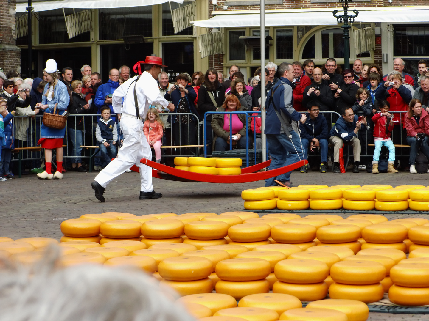 Käsemarkt in Alkmaar