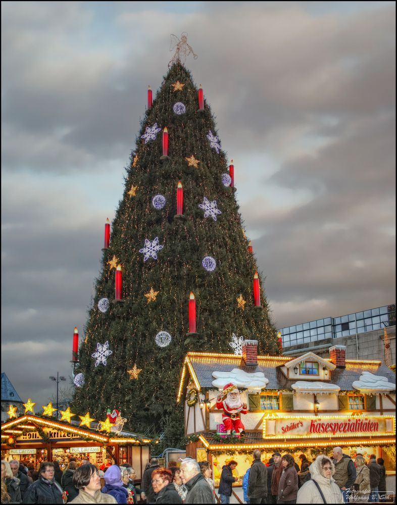 Käsespezialitäten unterm Weihnachtsbaum...