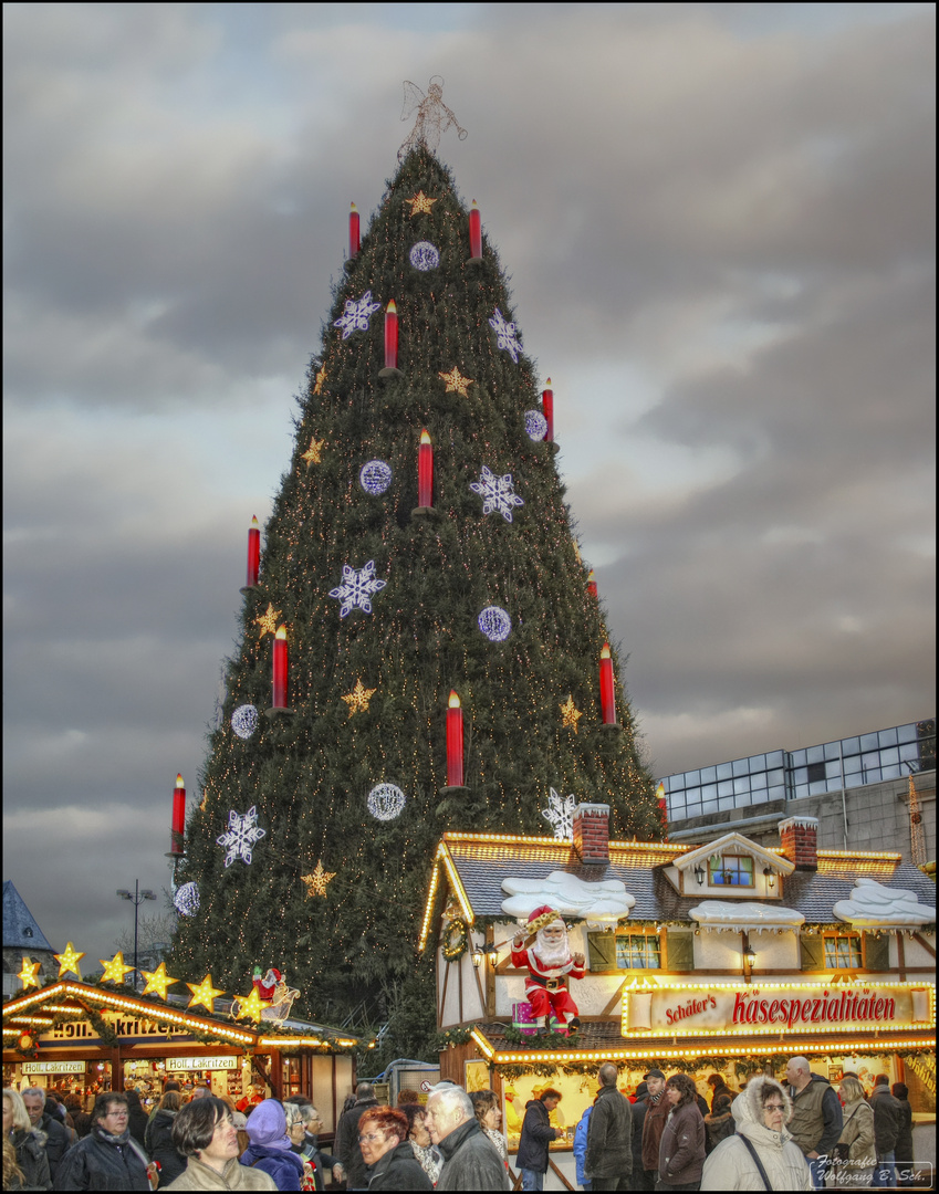 Käsespezialitäten unterm Weihnachtsbaum...