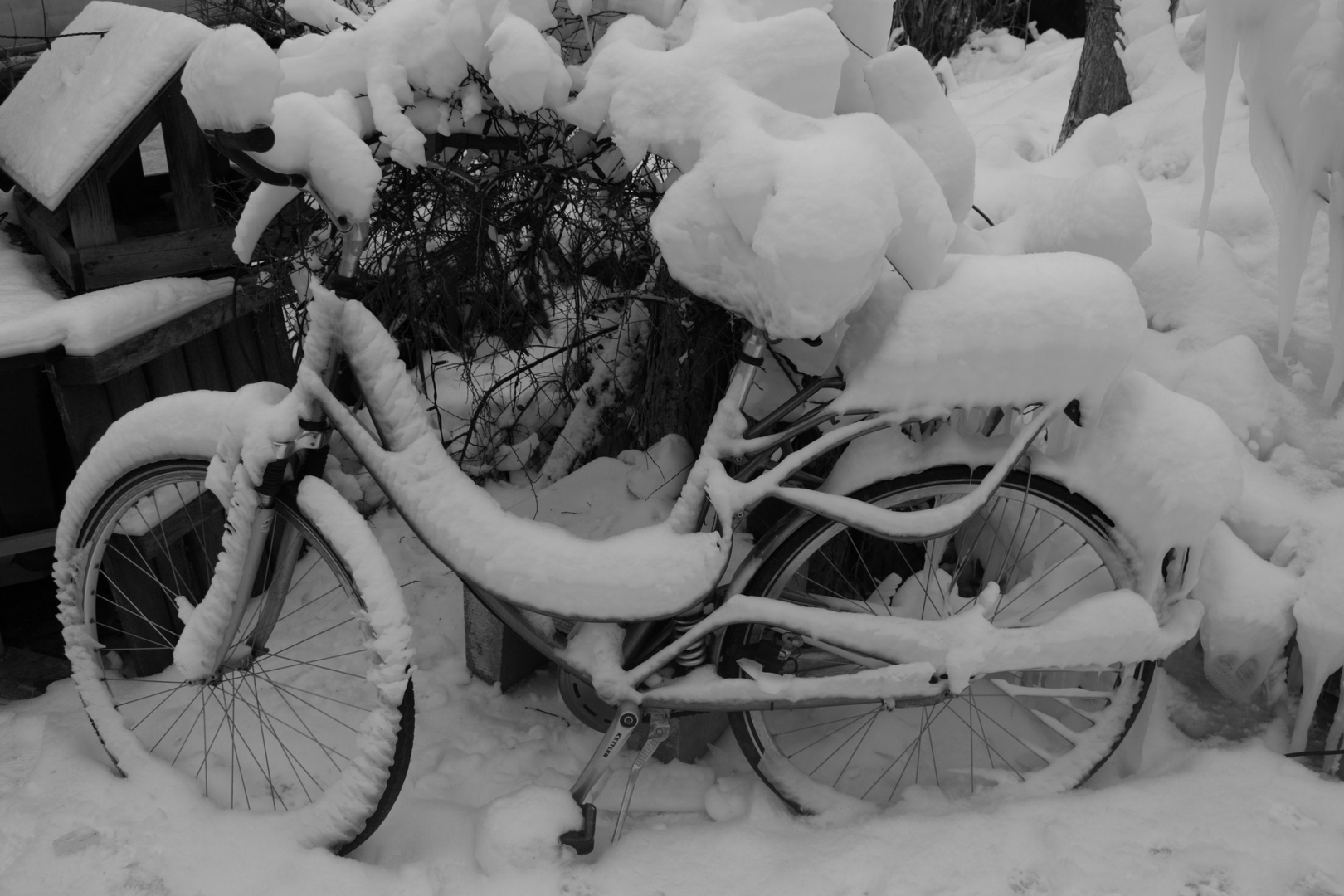 Käterchen Frost...