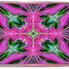 Käthchen Kaleidoskop