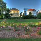 Käthe Kollwitz Park in Bischofswerda