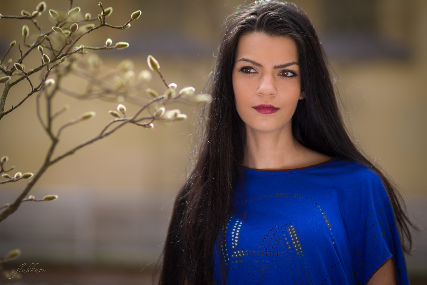 Kätzchen Foto & Bild | jahreszeiten, portrait, frühling Bilder auf ...