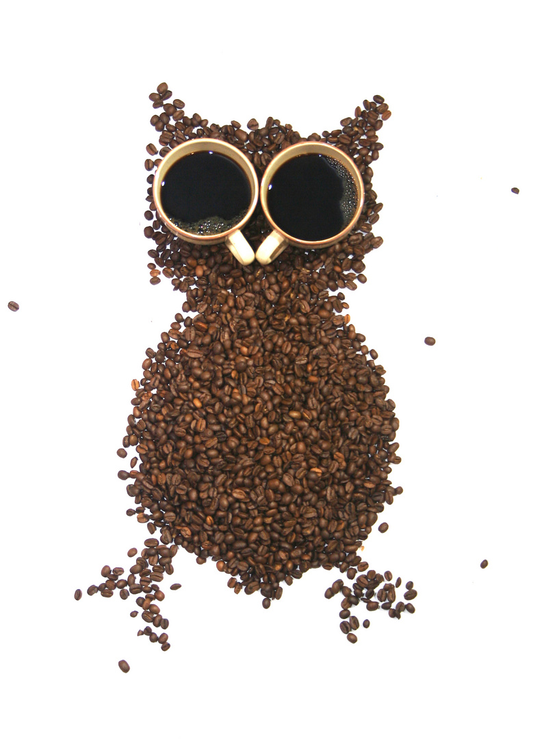 Kaffee Eule Foto Bild Quatsch Fun Digiart Bilder Auf Fotocommunity