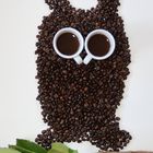 Kaffee-Kauz / Coffee-Owl