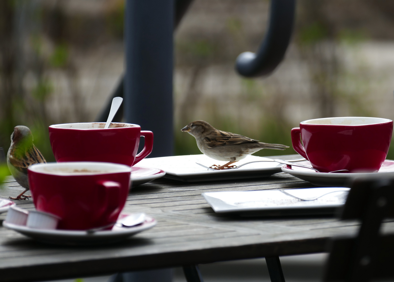 Kaffee Klatsch