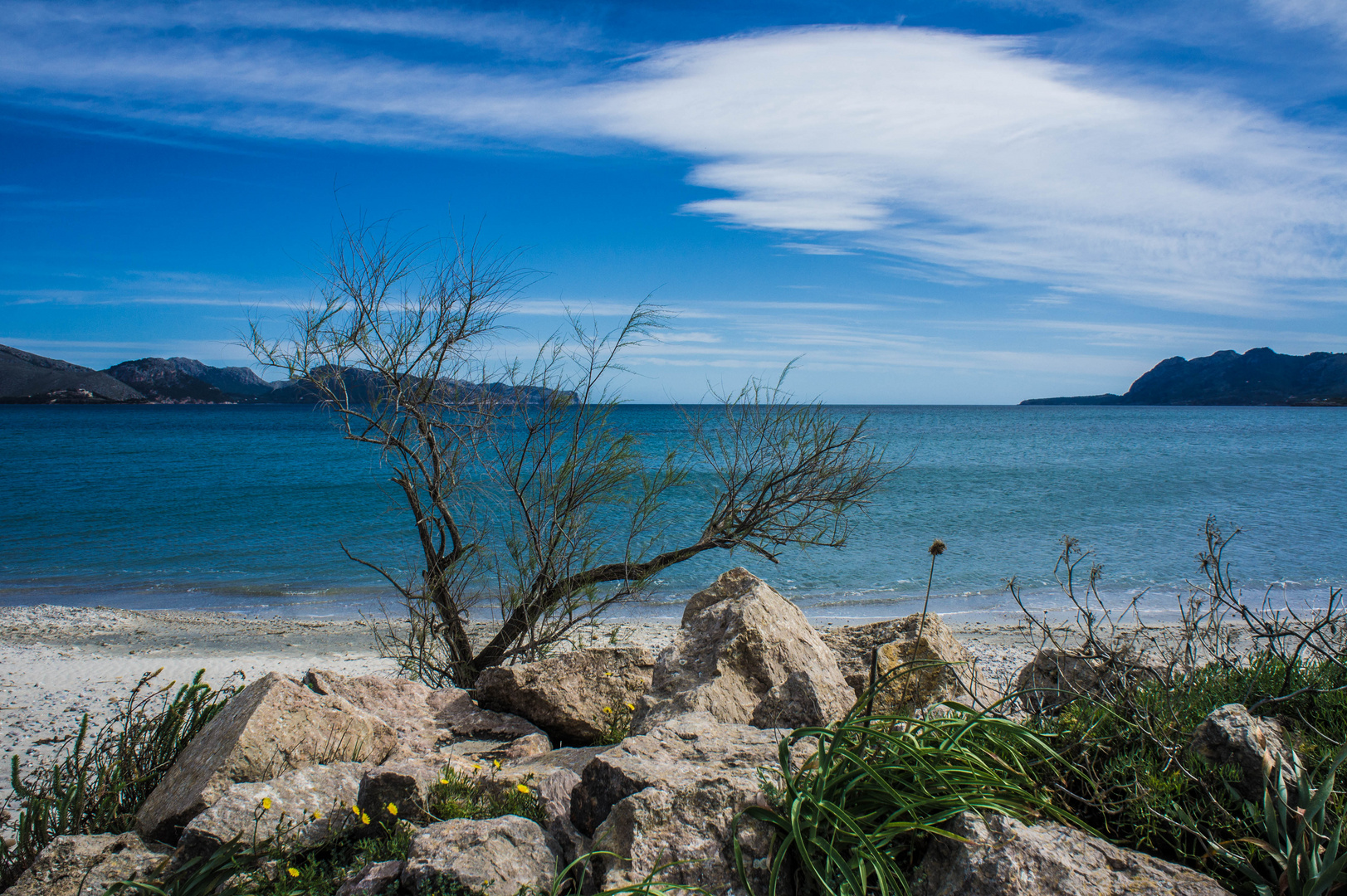 Kaffee, Meer - Meer.