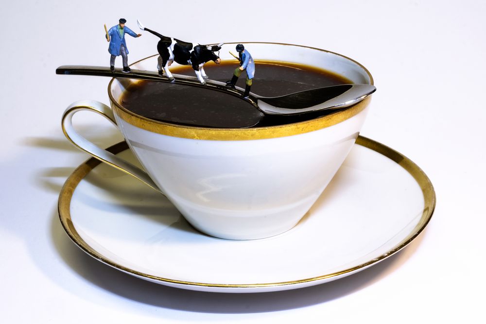Kaffee mit Milch bitte Foto Bild erwachsene Kaffee mit Milch bitte Foto Bild erwachsene