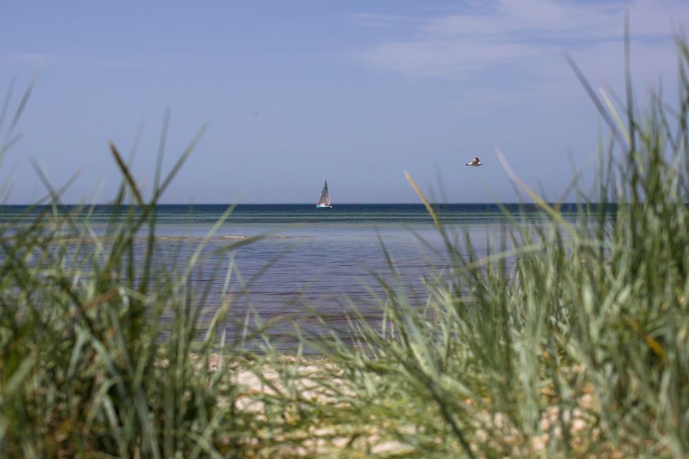 kaffee-segeln