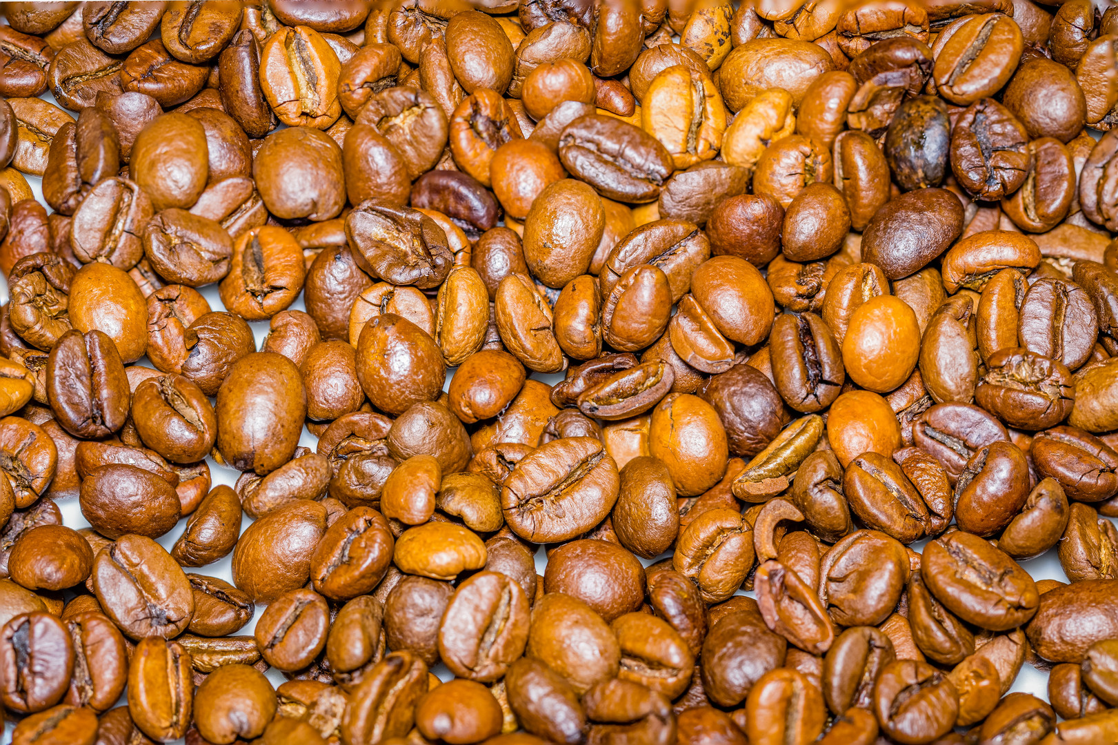 Kaffeebohnen Foto Bild stillleben food fotografie Kaffeebohnen Foto Bild stillleben food fotografie