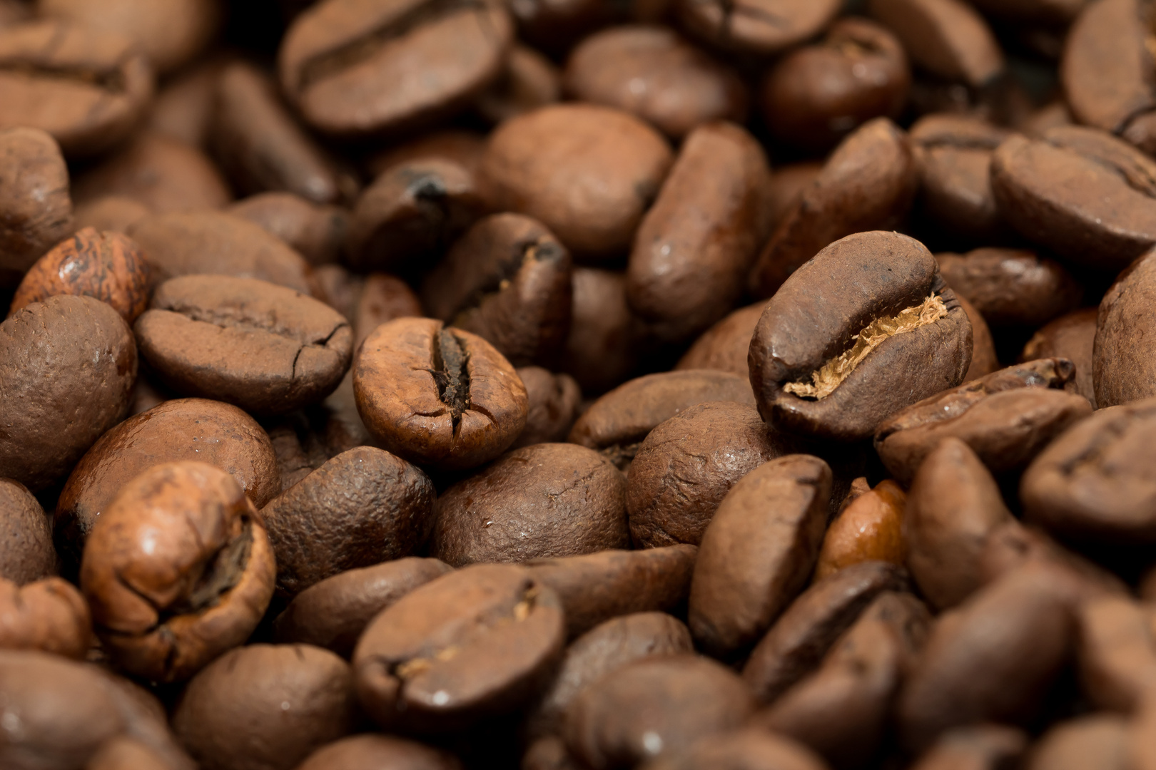 Kaffeebohnen im Behälter