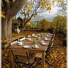 Kaffeetafel auf der herbstlichen Gartenterasse der Burg Gamburg