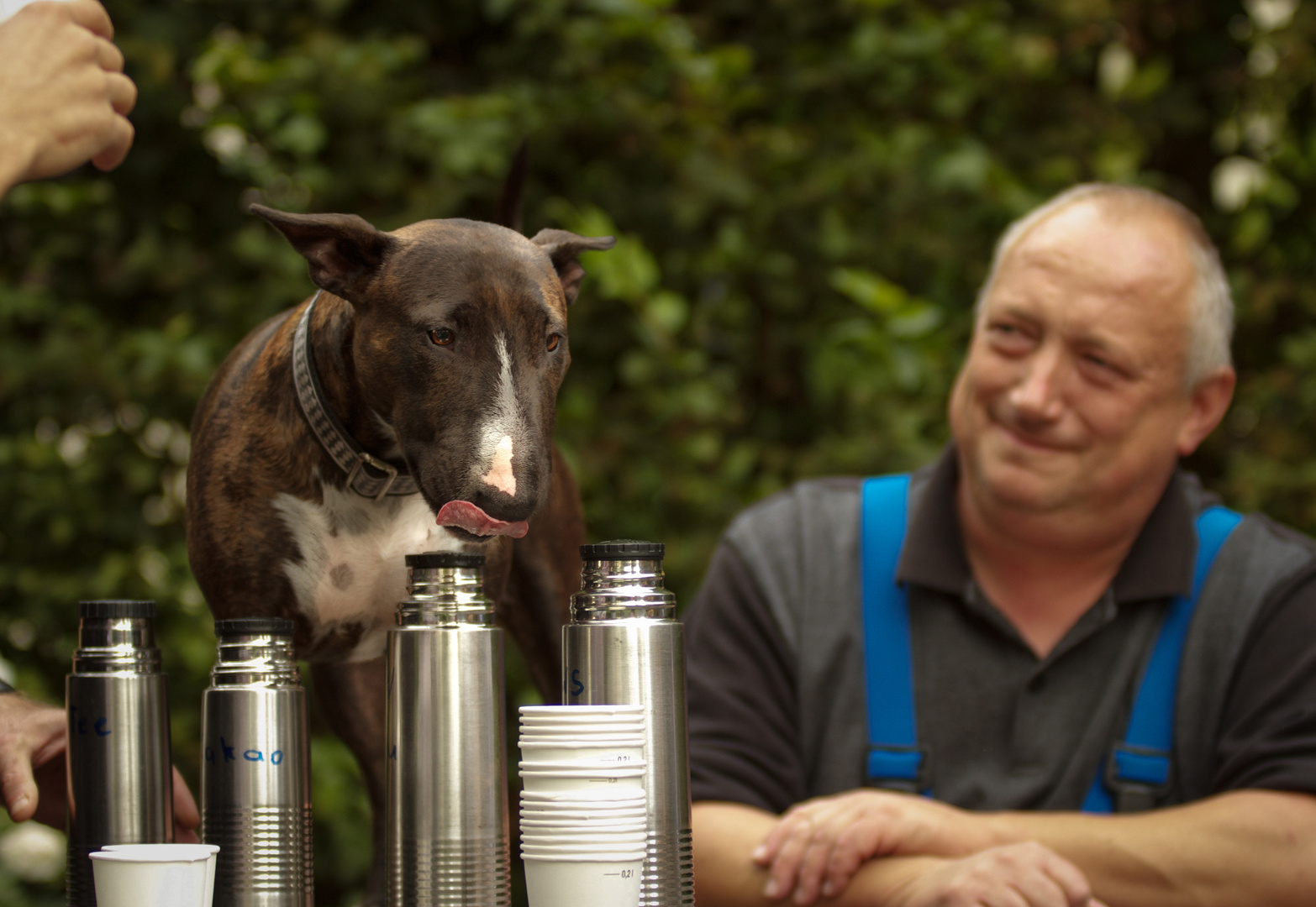 Kaffeetante