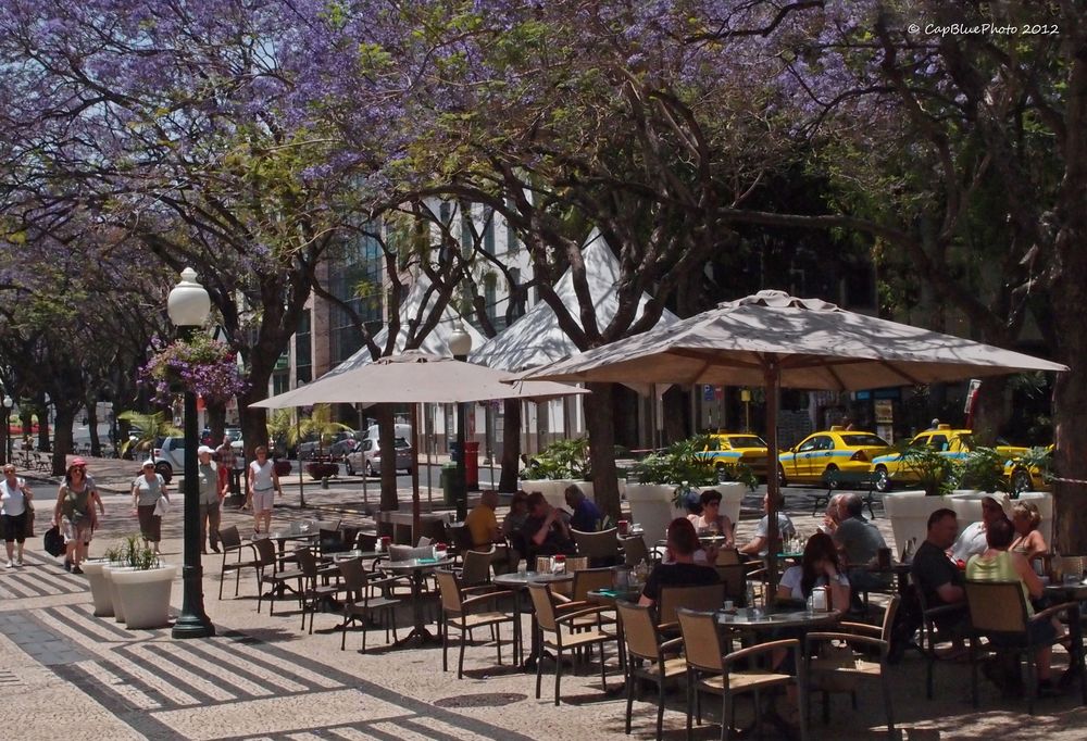 Kaffeezeit in Funchal an einer der schönen Alleen