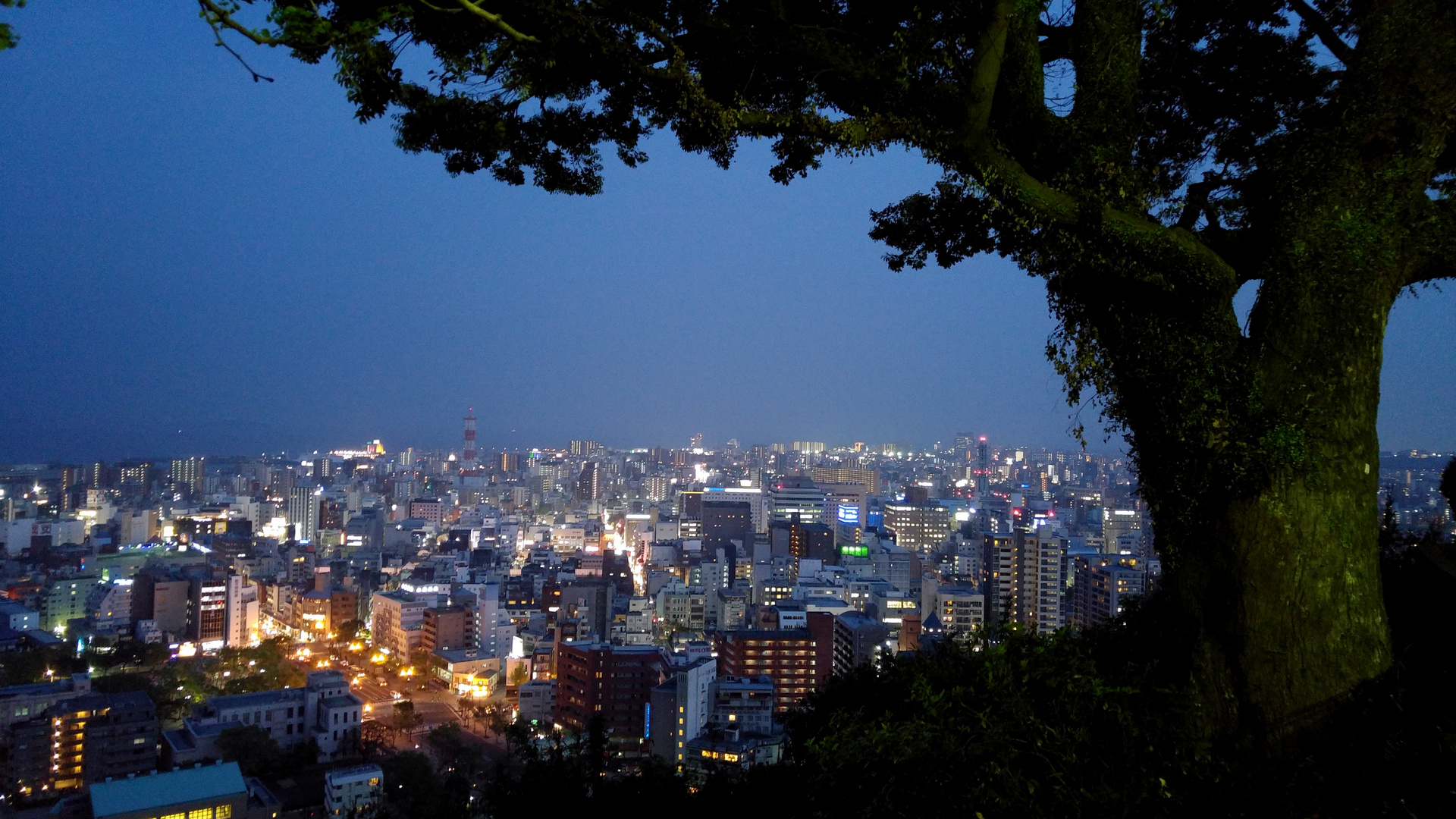 Kagoshima at Night