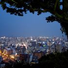 Kagoshima at Night