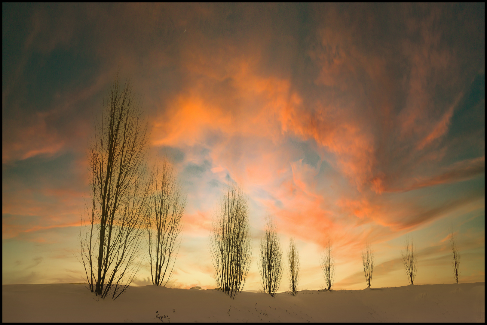 Kahl Foto & Bild jahreszeiten, winter, fotokunst Bilder auf