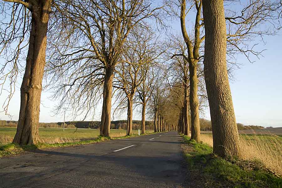 Kahle Allee