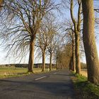 Kahle Allee