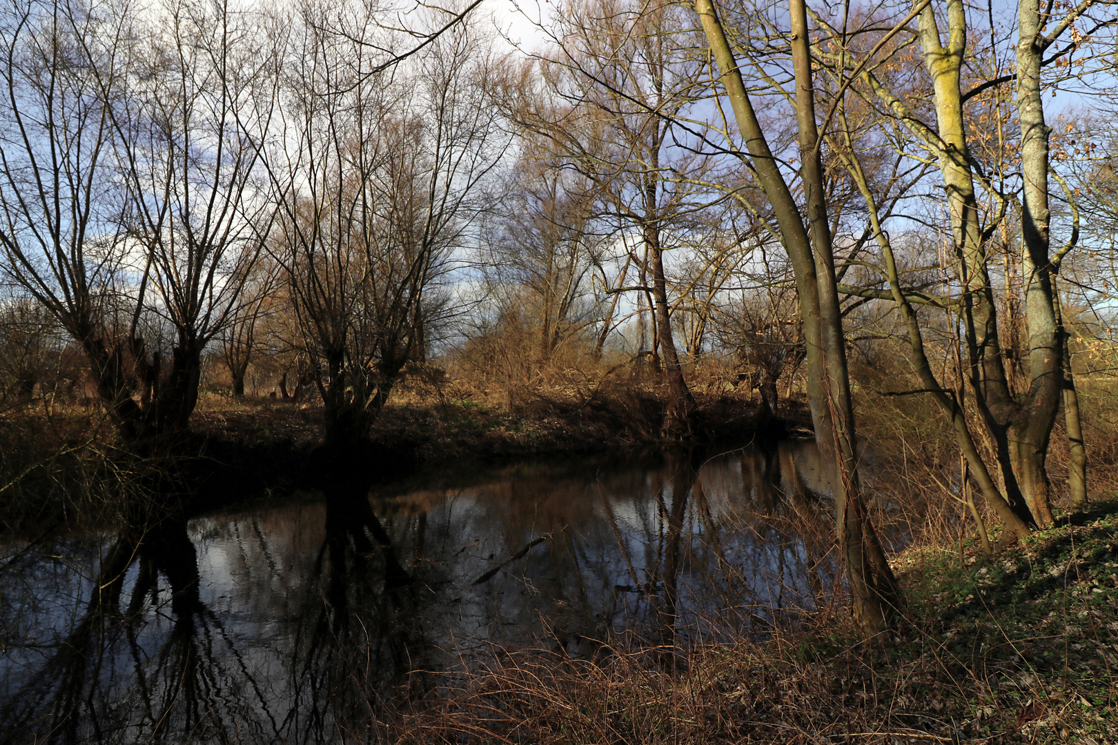 Kahle Bäume am Mühlengraben