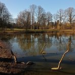 Kahle Bäume am Südteich