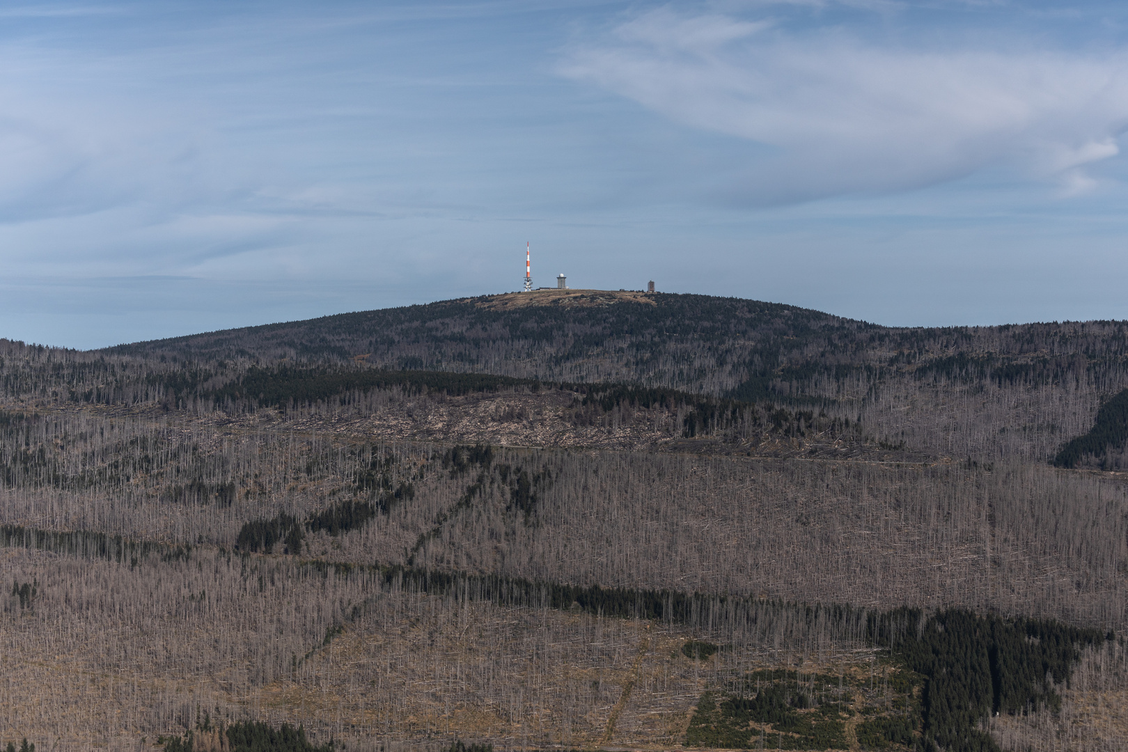 Kahle Wälder