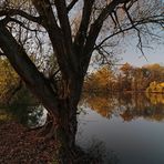 Kahle Weide am Teich