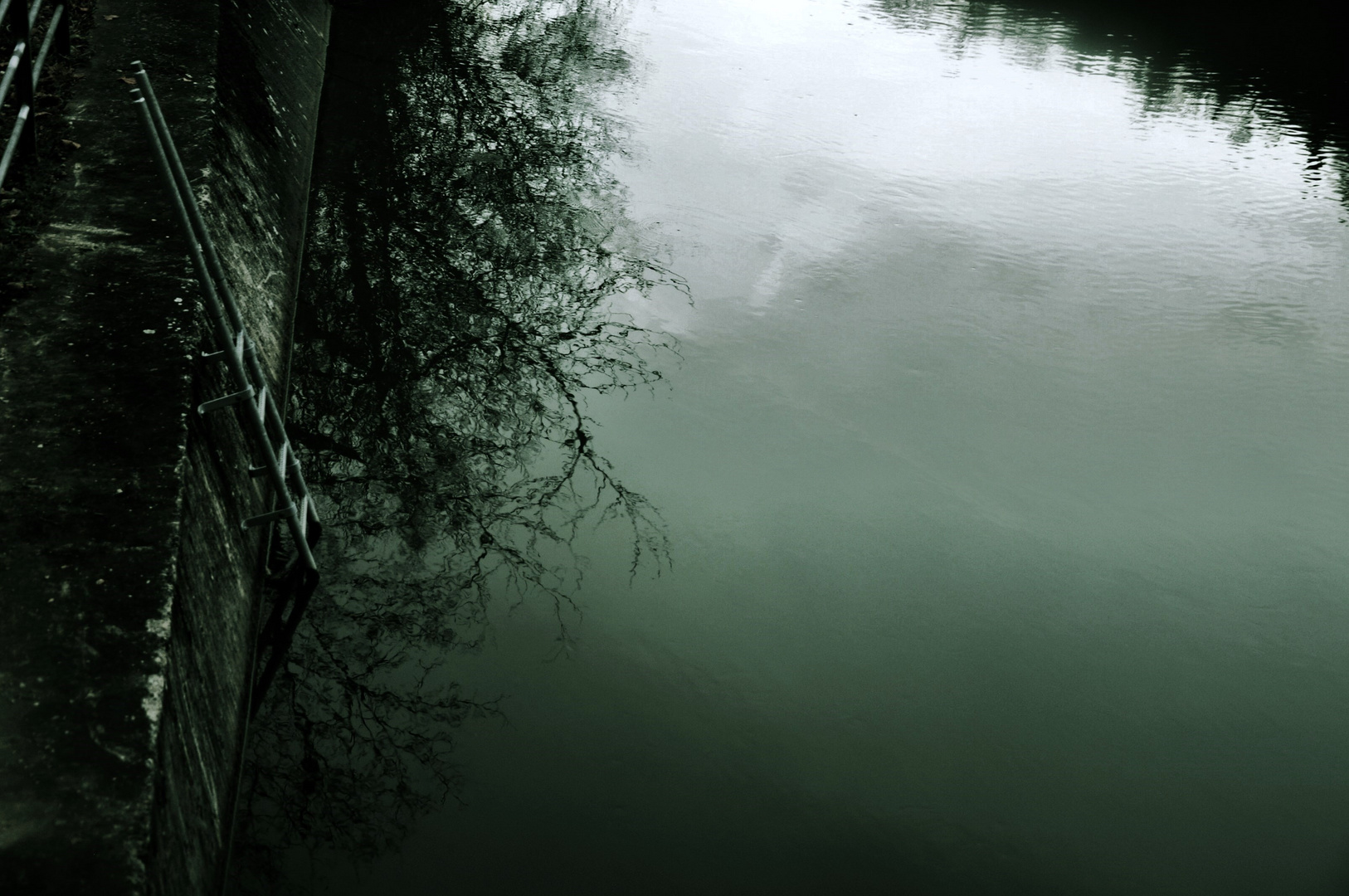 Kahle Zweige die sich im Wasser ds Neckars spiegeln