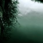 Kahle Zweige die sich im Wasser ds Neckars spiegeln