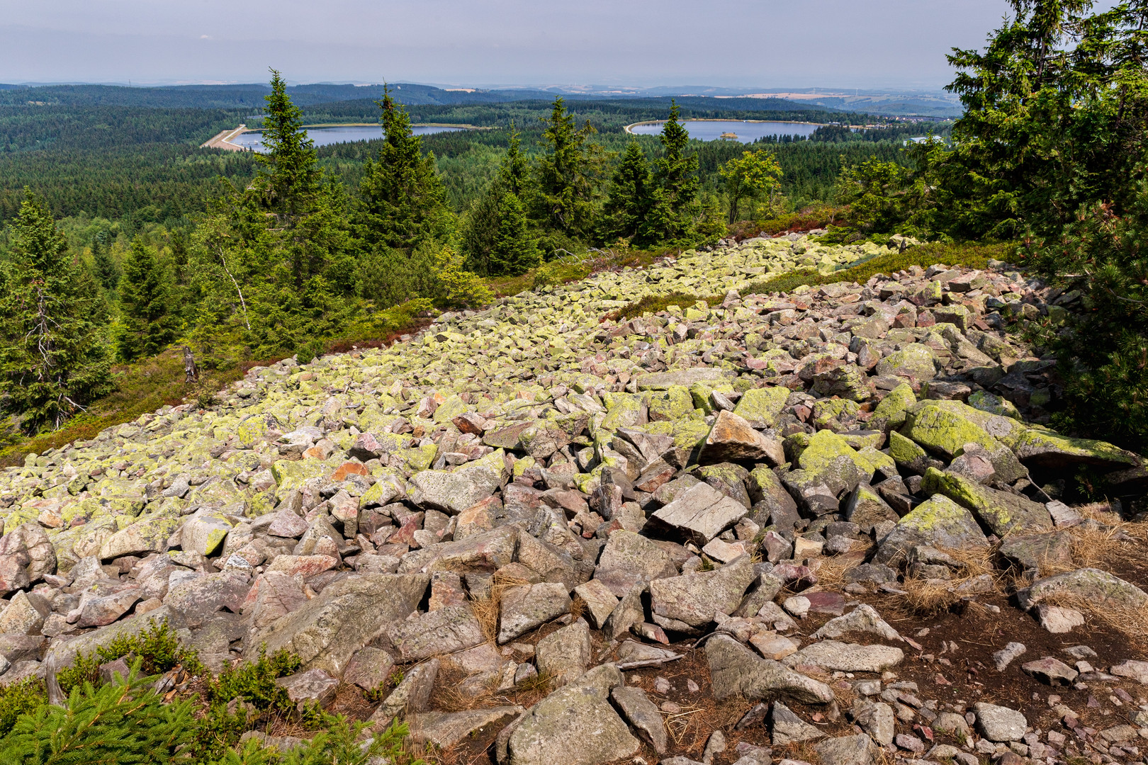 Kahleberg im Erzgebirge 