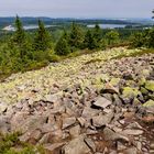 Kahleberg im Erzgebirge 