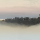 Kahlenberg im Nebel