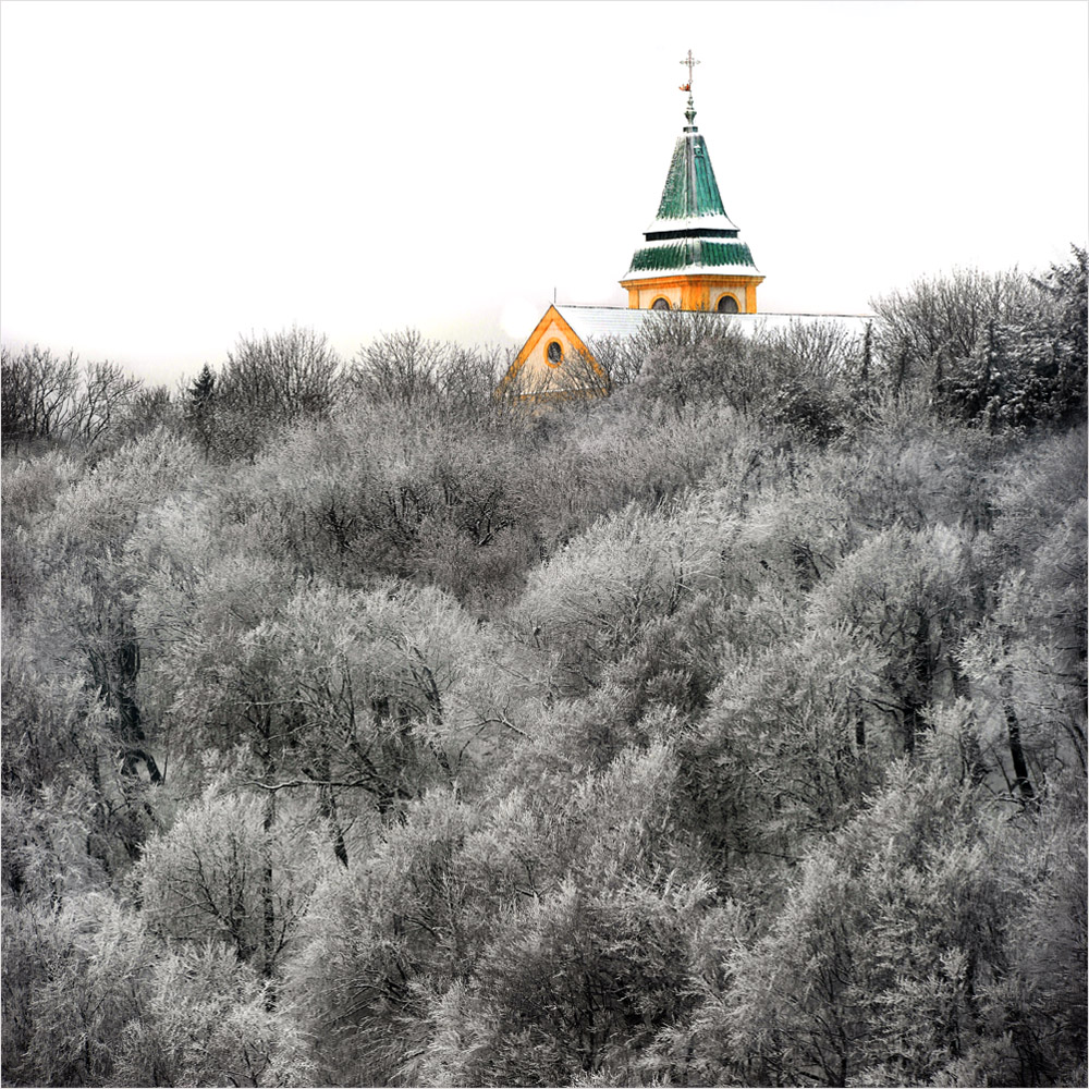 Kahlenberg im Schnee