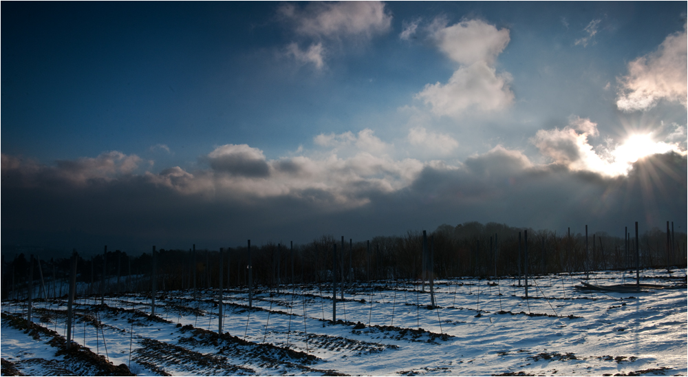 Kahlenberg in Winterstimmung