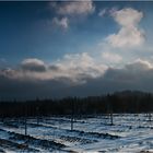 Kahlenberg in Winterstimmung