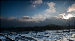 Kahlenberg in Winterstimmung