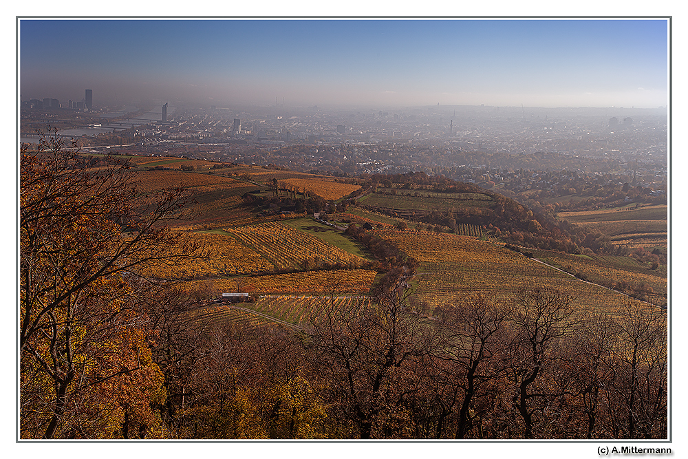 Kahlenbergblick