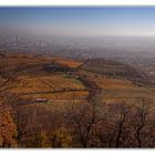 Kahlenbergblick