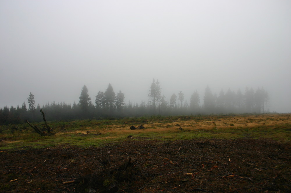 Kahler Asten: Der Nebel lichtet sich etwas