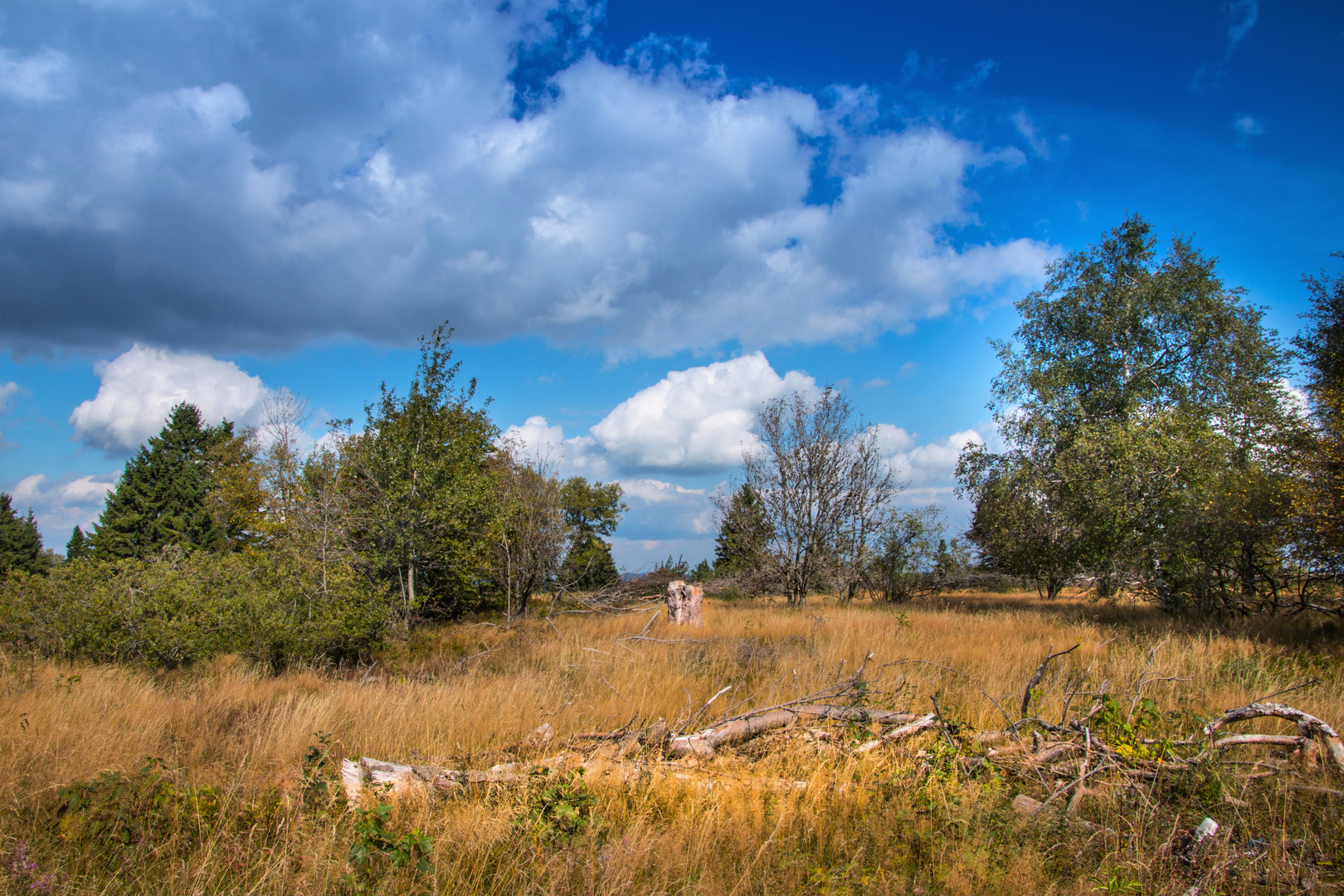 Kahler Asten Hochheide A