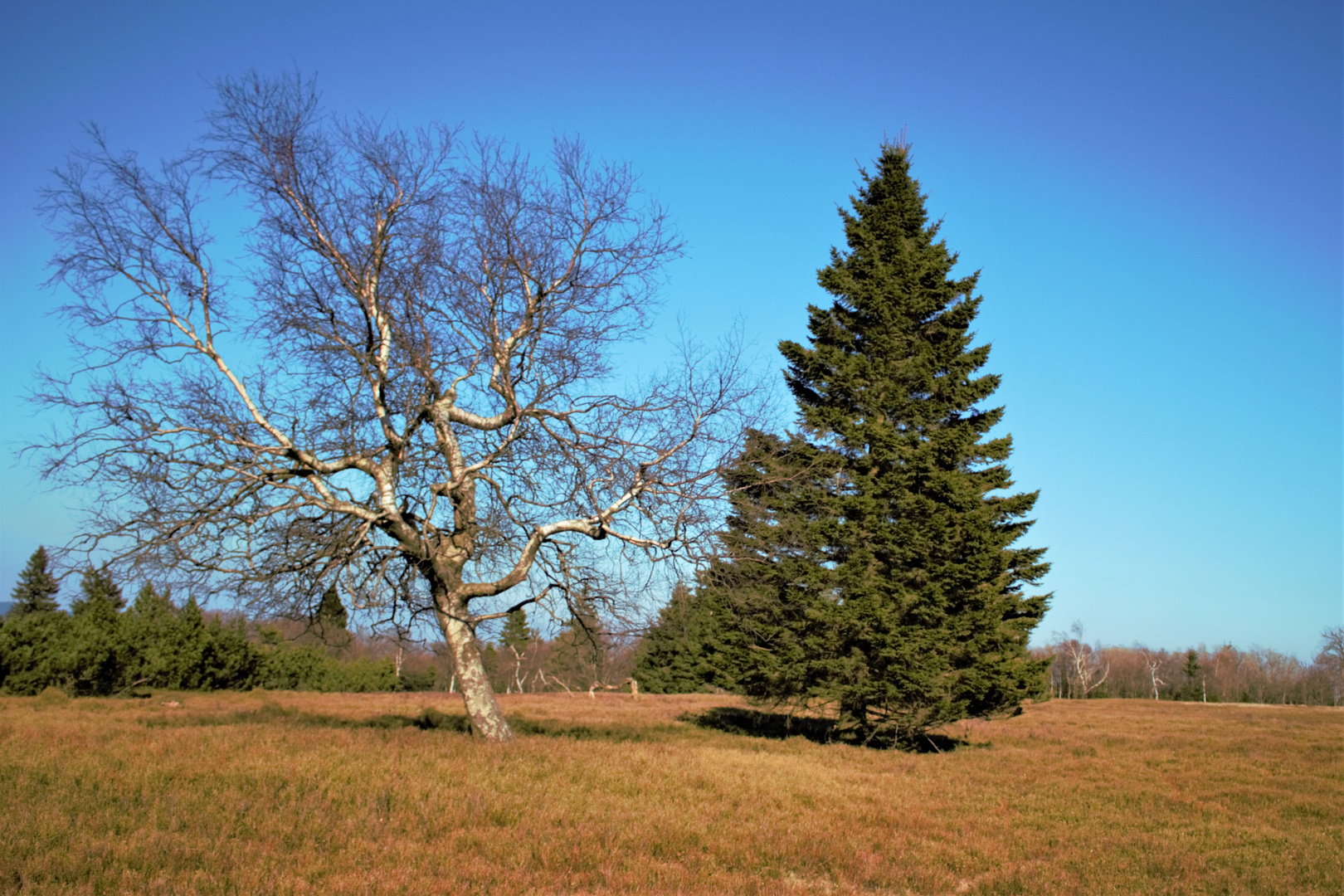 Kahler Asten im Herbst 