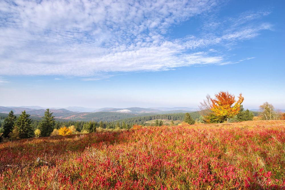 Kahler Asten im Herbst