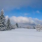 Kahler Asten im Schnee