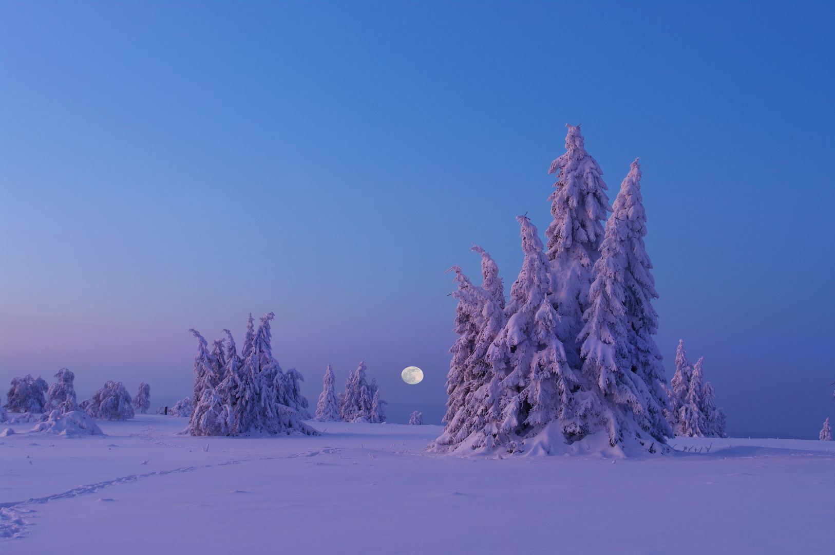 Kahler Asten im Schnee, Winterabend in der Hochheide, Vollmond