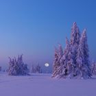 Kahler Asten im Schnee, Winterabend in der Hochheide, Vollmond