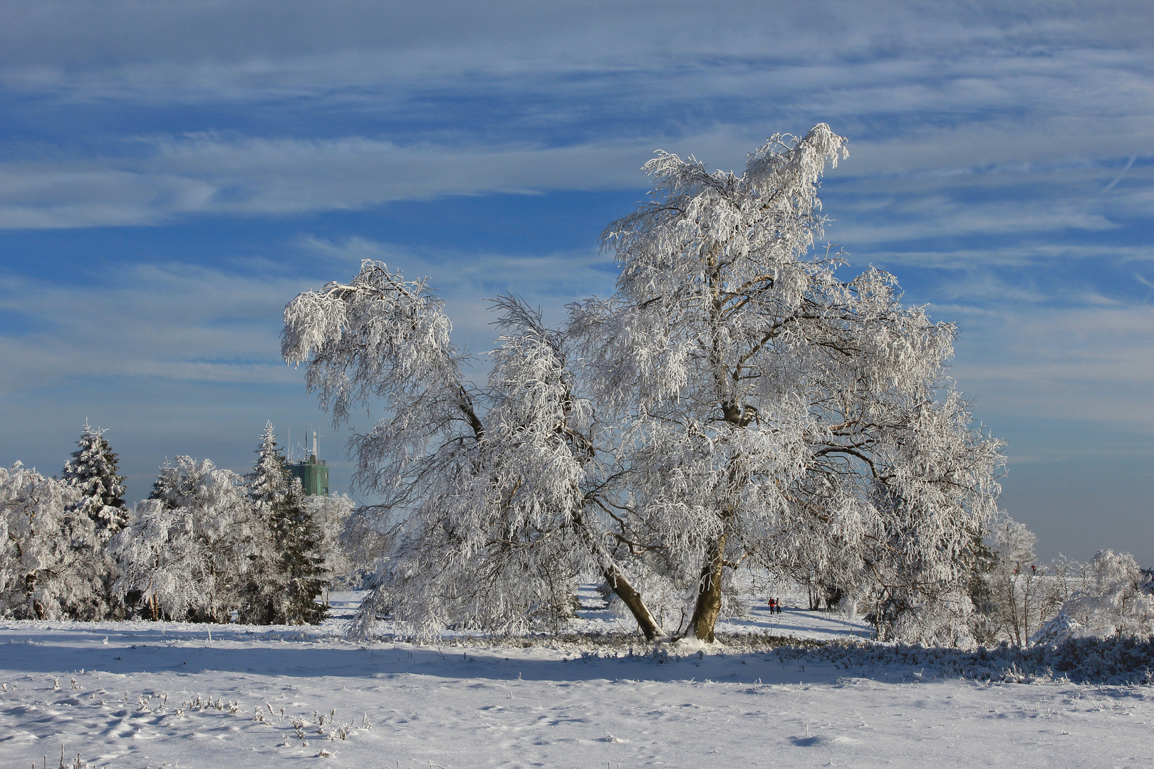 Kahler Asten im Schnee,  Winterlandschaft in der Hochheide mit Blick zum Astenturm