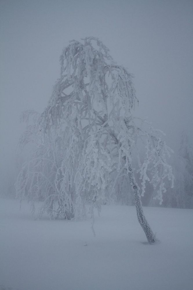 Kahler Asten in Winterberg