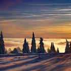 Kahler Asten, Winterabend in der Hochheide. 